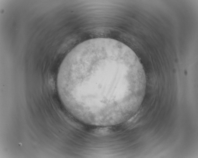 X0000078230086200611251224