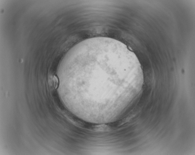 X0000078230087200611251225