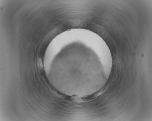 X0000078230089200611251225