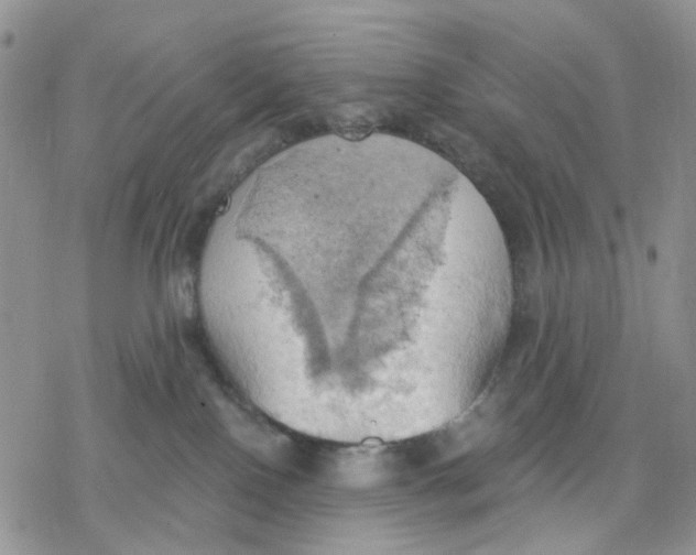 X0000078230090200611251225