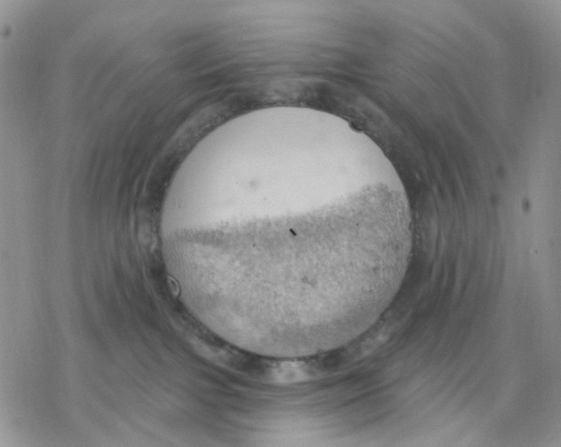 X0000078230091200611251225