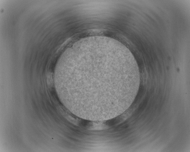 X0000078230093200611251225