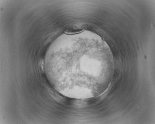 X0000078230094200611251225