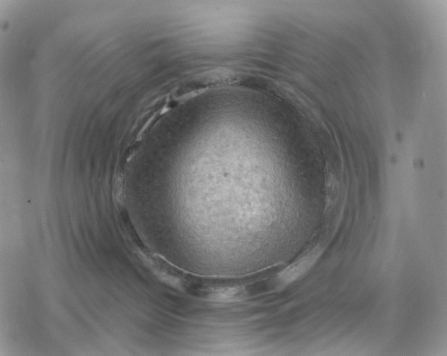 X0000078230096200611251225