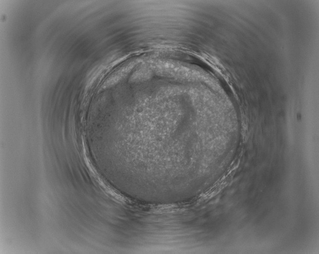 X0000078230097200611251224