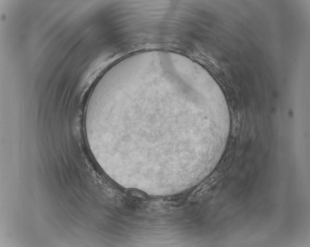 X0000078230098200611251224