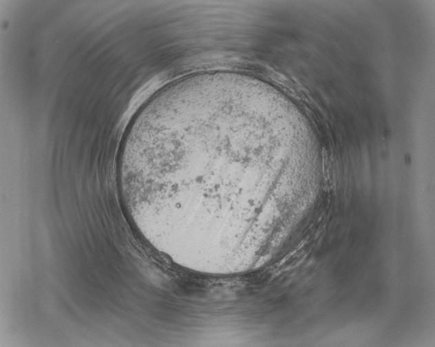 X0000078230099200611251224