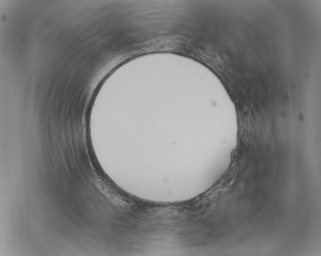 X0000078230100200611251224