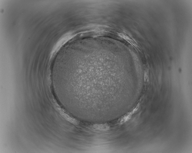 X0000078230101200611251224