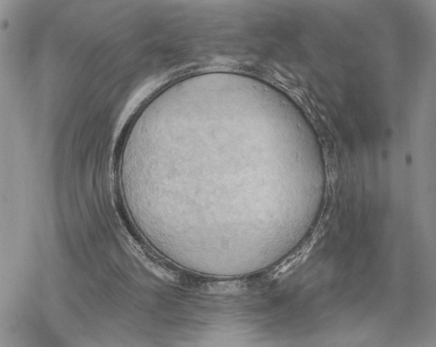 X0000078230102200611251224