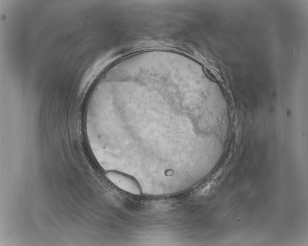 X0000078230103200611251224