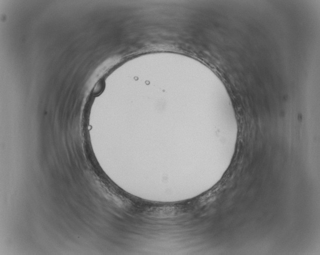 X0000078230104200611251224