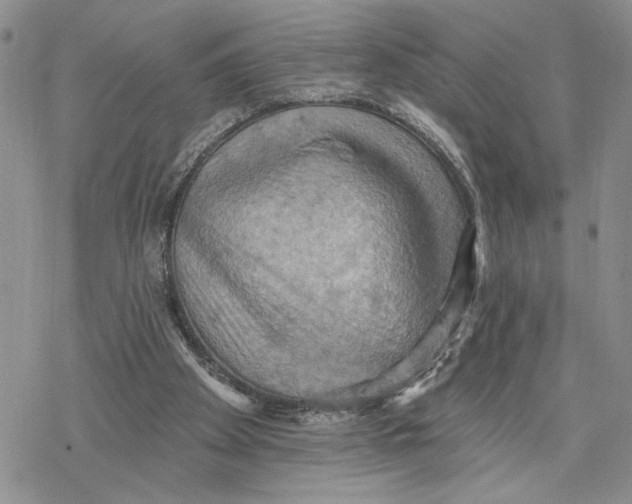 X0000078230105200611251224