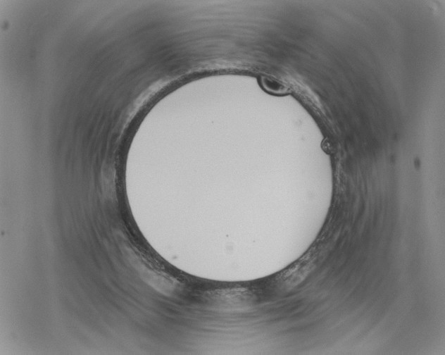 X0000078230108200611251224