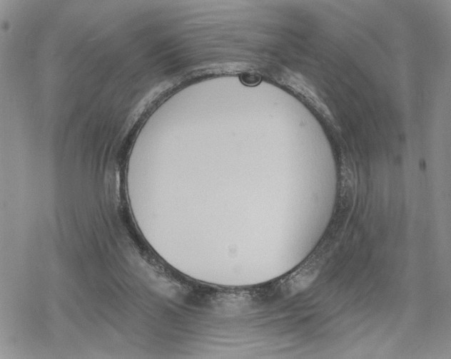 X0000078230110200611251224