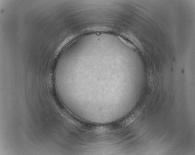 X0000078230111200611251224