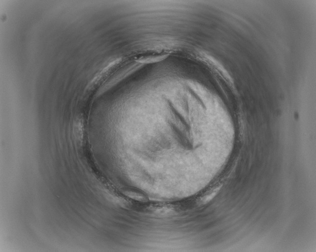 X0000078230113200611251224