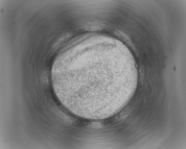 X0000078230114200611251224