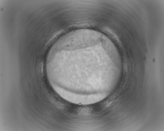 X0000078230115200611251224