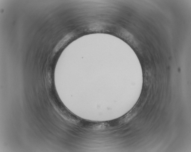 X0000078230116200611251224