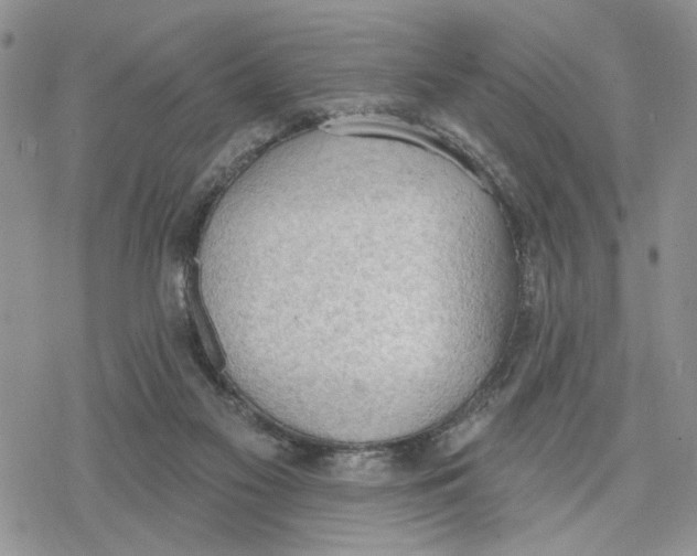 X0000078230117200611251224