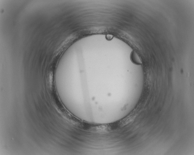 X0000078230118200611251224