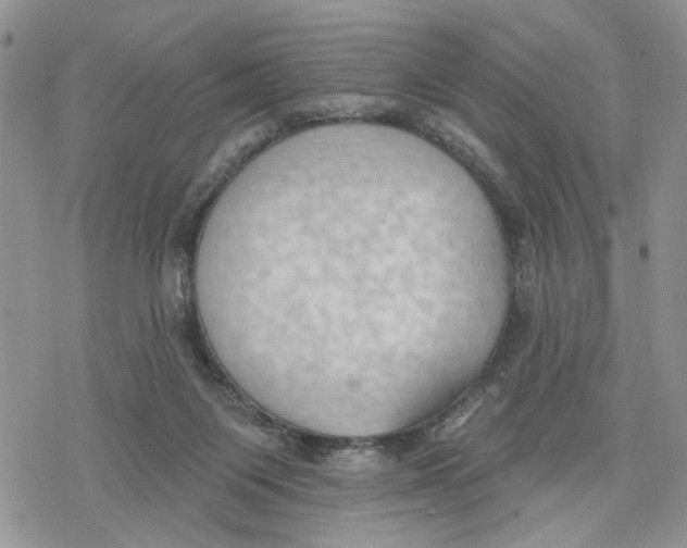 X0000078230119200611251224