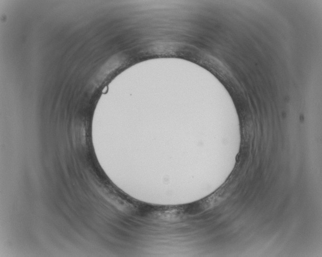 X0000078230120200611251224