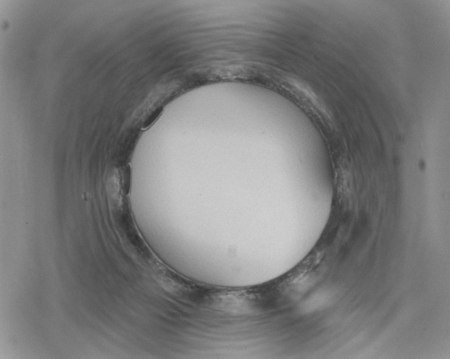 X0000078230121200611251223