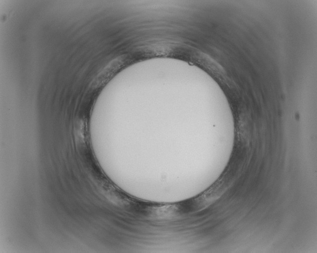 X0000078230122200611251223