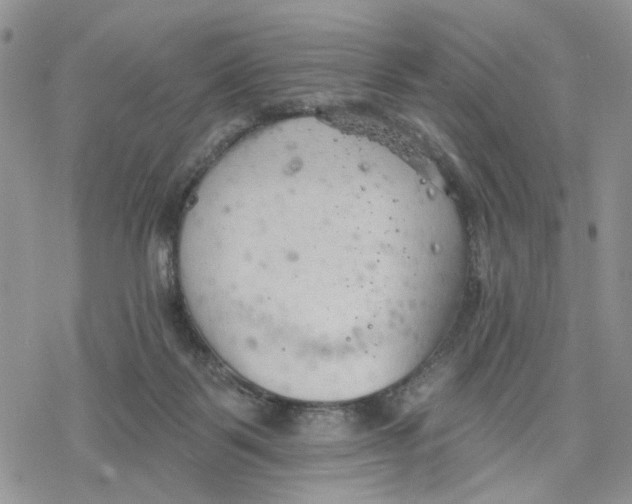 X0000078230123200611251223