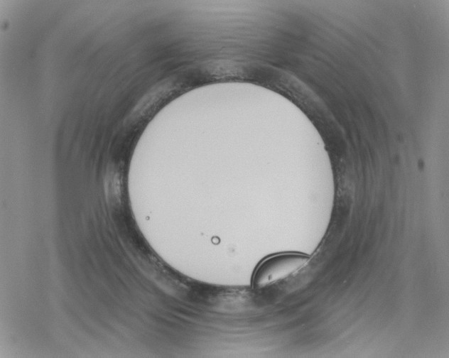 X0000078230124200611251223