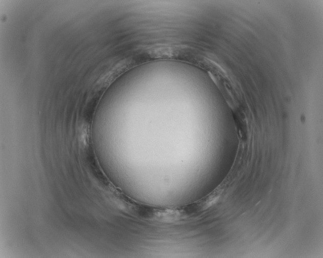 X0000078230125200611251223