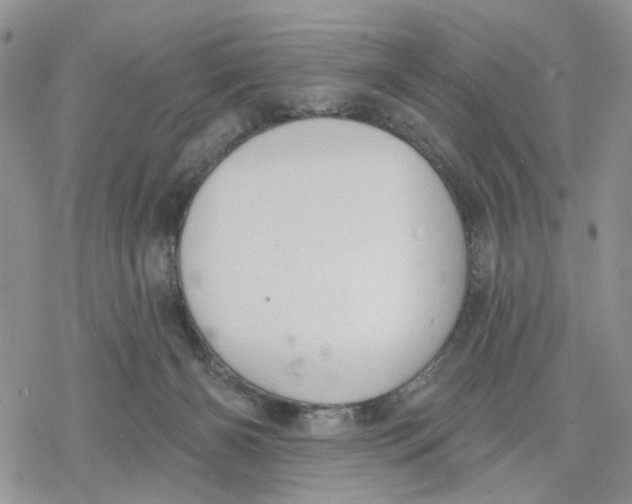 X0000078230126200611251223