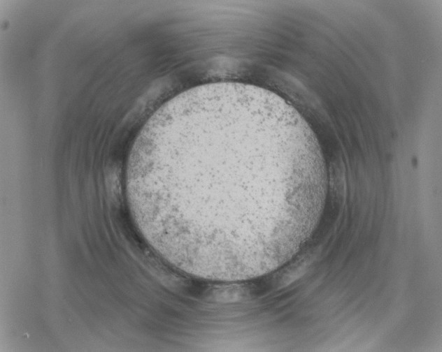 X0000078230127200611251223