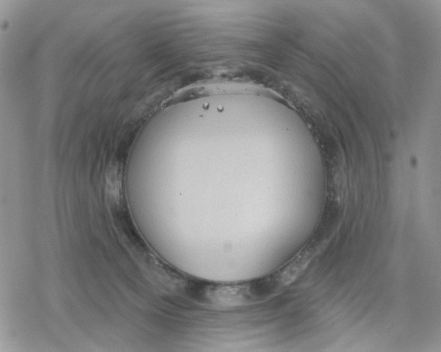 X0000078230129200611251223