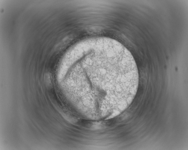 X0000078230130200611251223