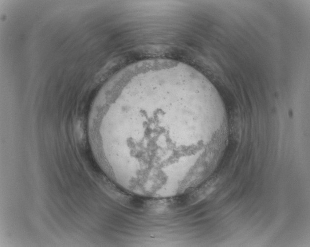 X0000078230131200611251223