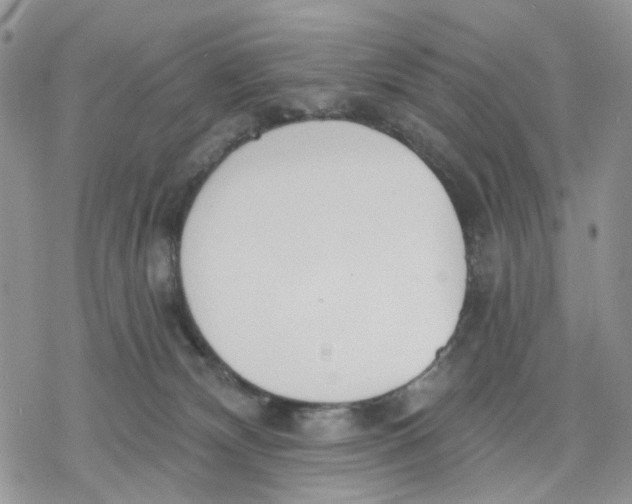 X0000078230132200611251223