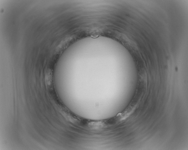 X0000078230133200611251223