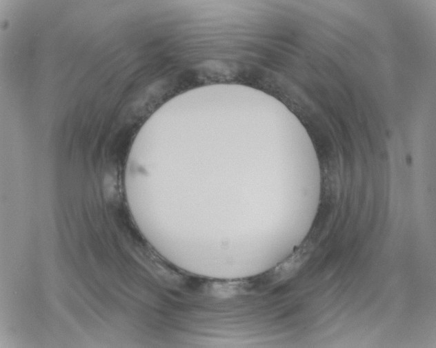 X0000078230134200611251223