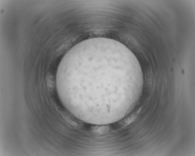 X0000078230135200611251223