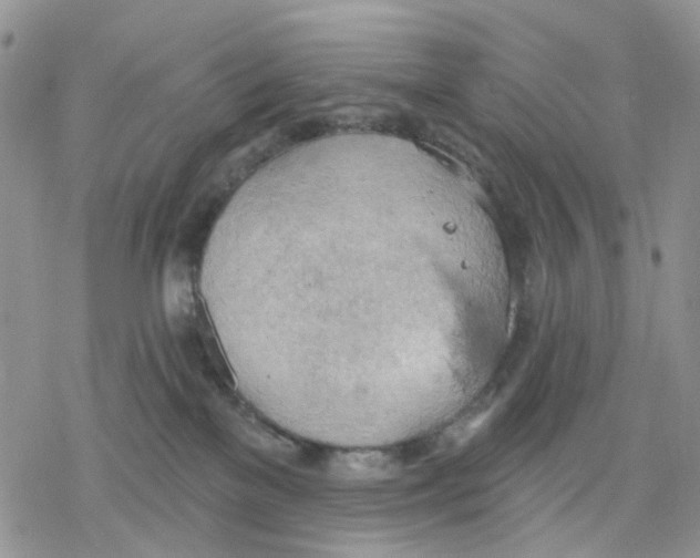 X0000078230137200611251223