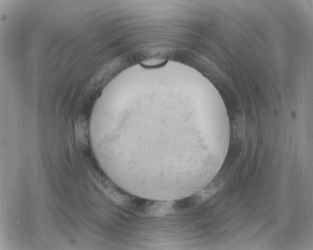 X0000078230138200611251223