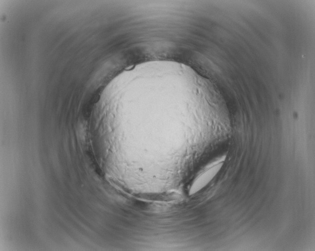 X0000078230139200611251223