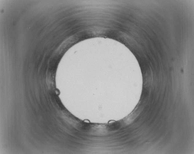 X0000078230140200611251223