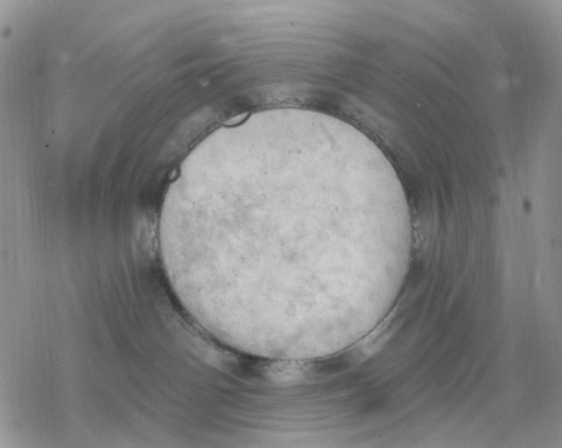 X0000078230142200611251223