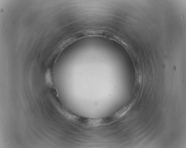 X0000078230143200611251223