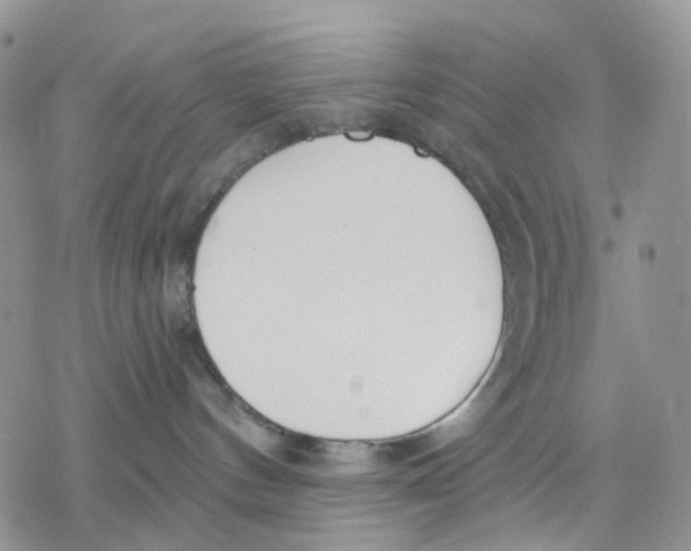 X0000078230144200611251223