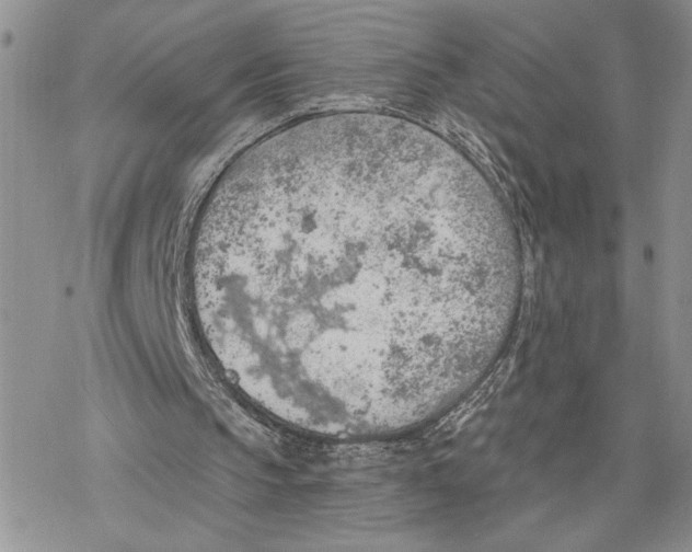 X0000078230145200611251222